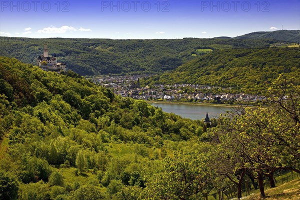 View of the Rhine Valley with Marksburg Castle