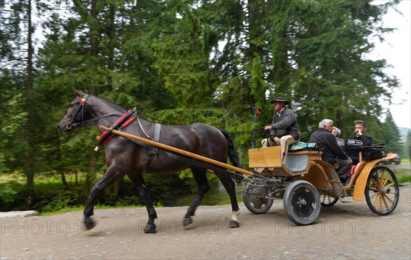 Horse-drawn carriage