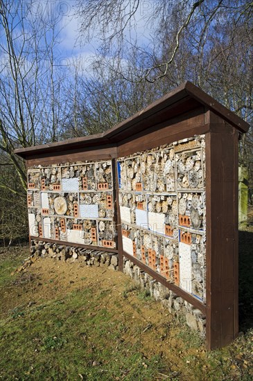 Guinness World Record Holder for Largest Bug Hotel