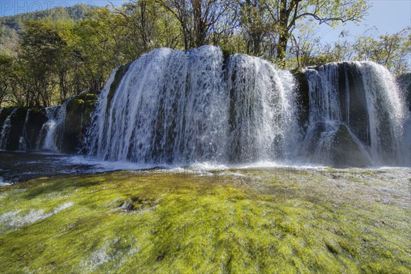 View of waterfall and algae