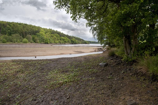 Low water level at the reservoir