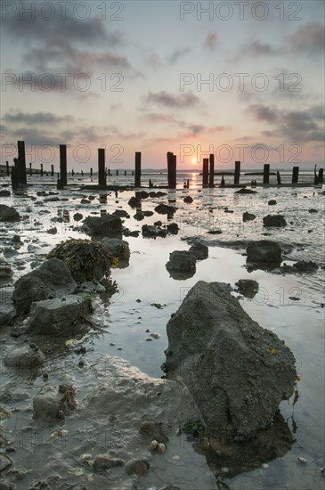 Beach and breakwater at low tide