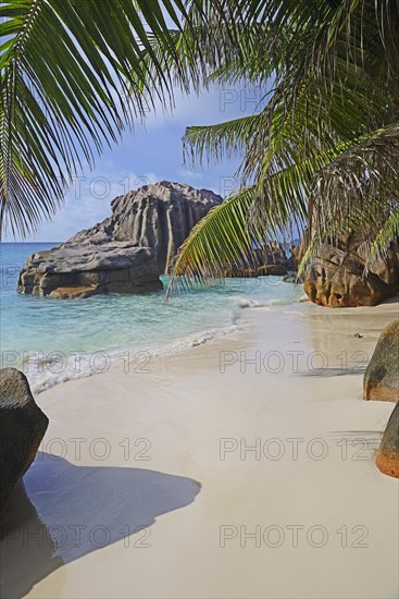 Dream beach Anse Patatas