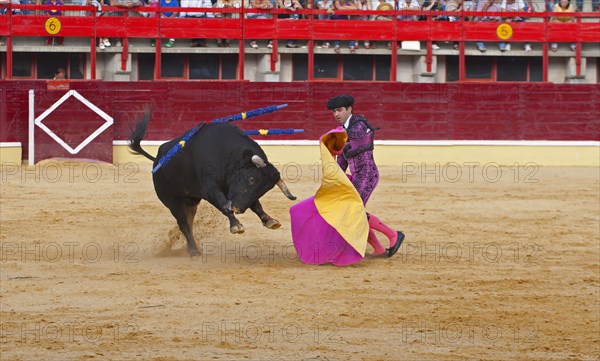 Bullfighting