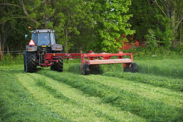 Massey Ferguson tractor with Kverneland mower