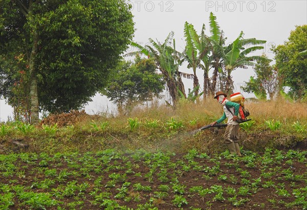 Spraying a field in front of the park entrance