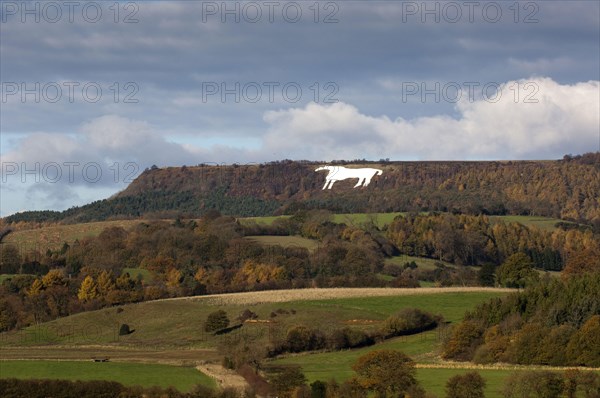 Kilburn White Horse hill figure on hillside