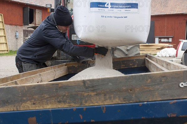 Farmer emptying bag of nitrogen granular fertilizer granules into fertilizer spreader