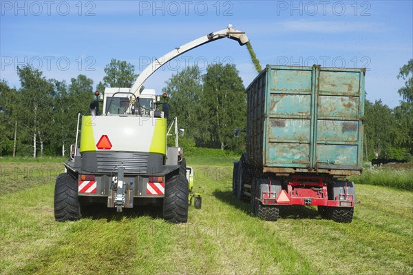 Claas Jaguar 850 forage harvester