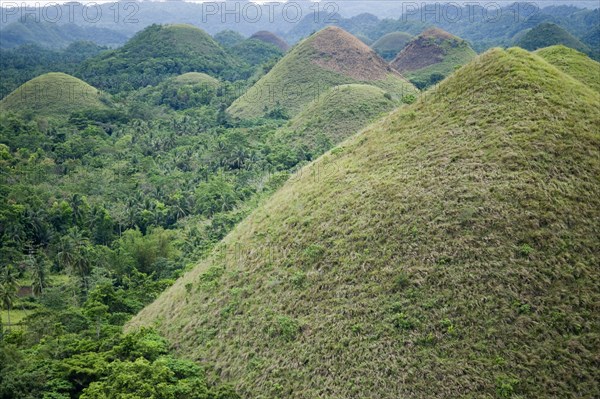Cone-shaped karst hills of grass-covered limestone