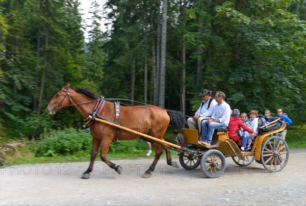 Horse-drawn carriage