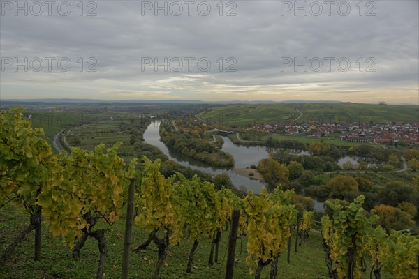 Vineyards