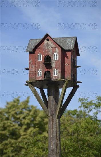 Bird House