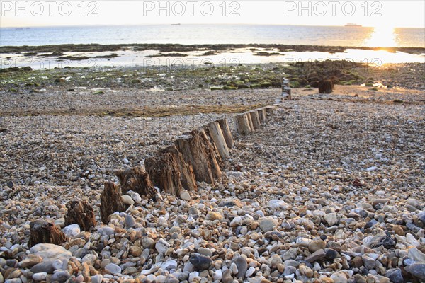 Remains of breakwater on beach with incoming tide at dawn