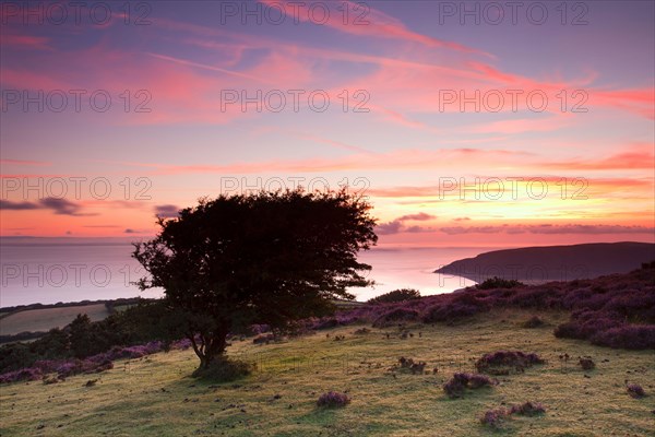 View of the coastline at sunrise