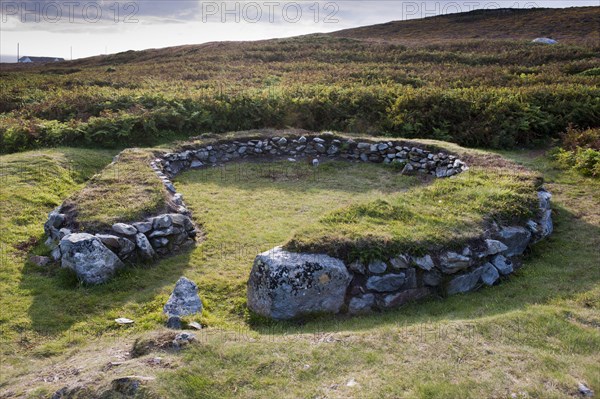 Iron Age farmstead props