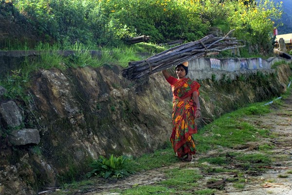 Woman carrying firewood logs on her head