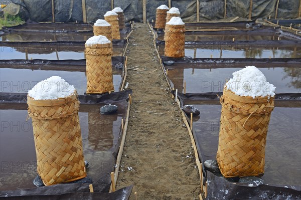 Sea salt harvested and packed for drying