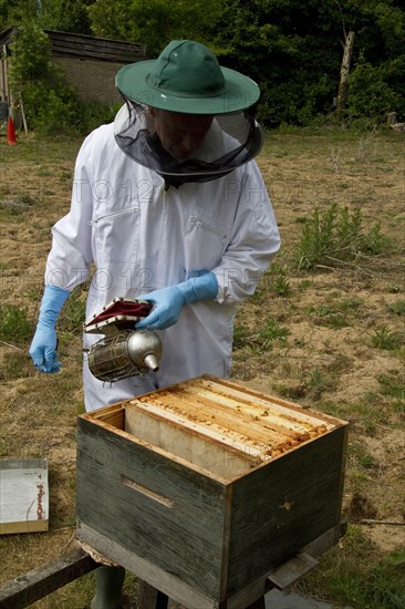 With a smoker over the open brood box