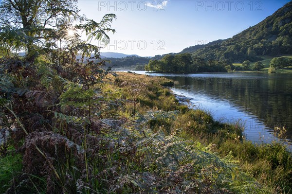 View of the lake in the evening sun