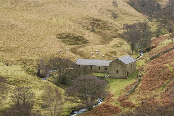 Moorland valley with stream