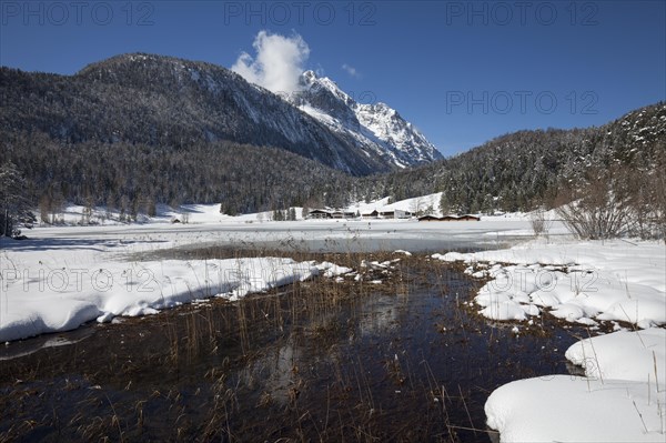 Winter landscape