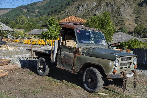 Pumpkin farm and old pickup truck