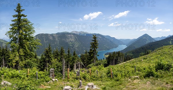 View from the Naggler Alm to the Weissensee