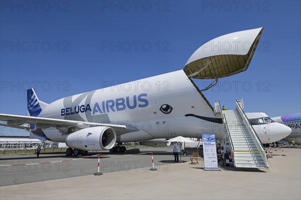 Airbus Beluga XL Transporter