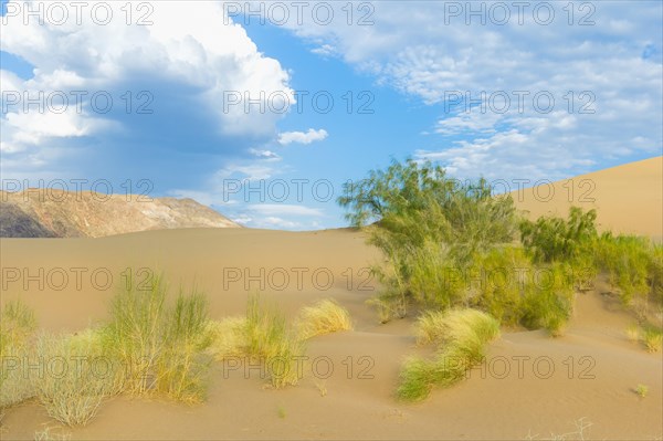 Singing Dunes