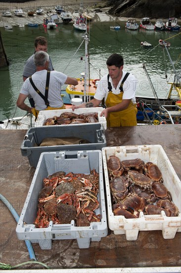 Crab fishing