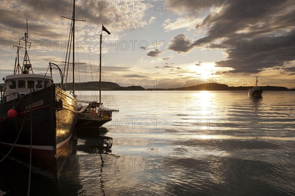 Boats in harbour at sunset