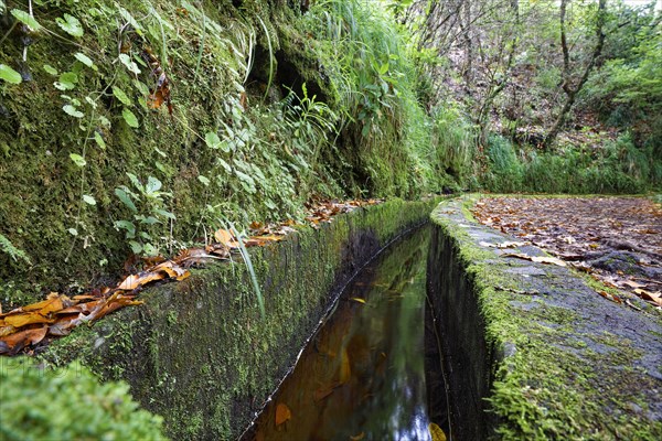 Right levada trail