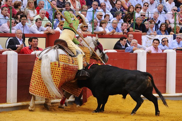 Bullfight