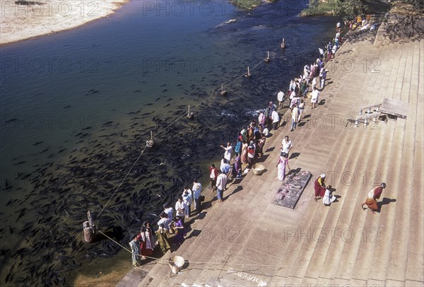 Pilgrimage feeding the fish