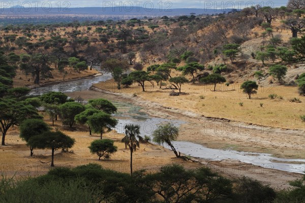 Tarangire River