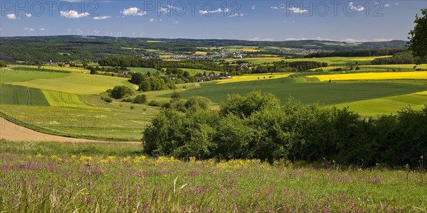 Cultural landscape in the Rhine-Lahn district