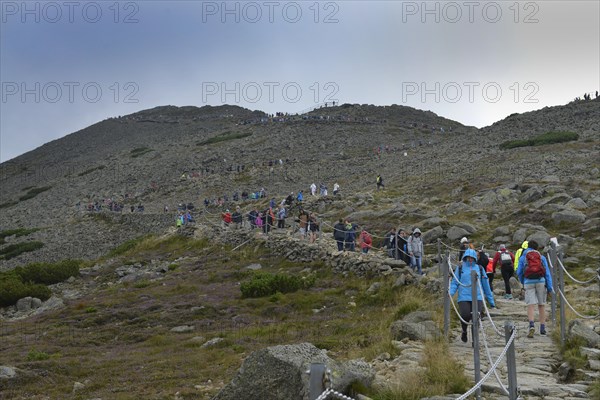 Hiking trail