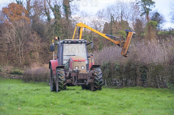 Massey Ferguson with flail cutter