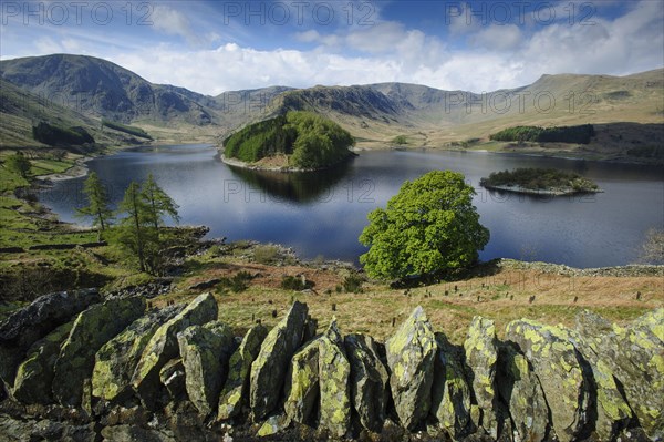 View over the dry stone wall to Highland Reservoir