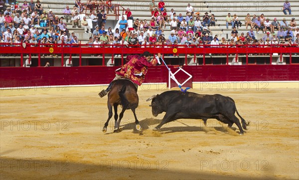 Bullfighting