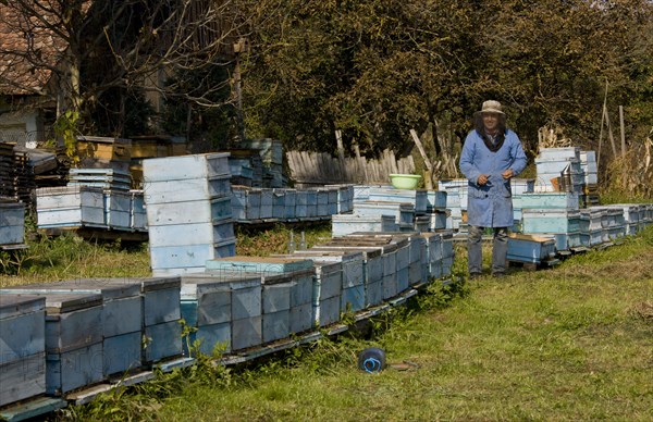 Bee keeping