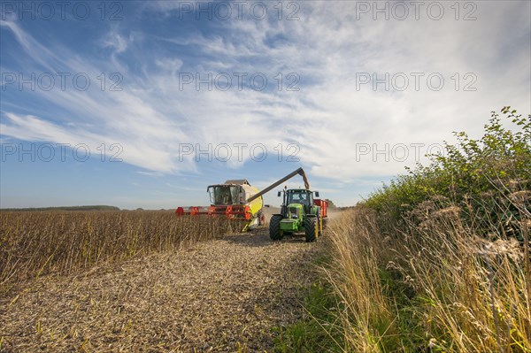 Combine harvester