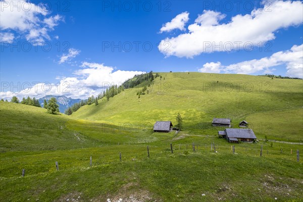 Postalm in the Salzkammergut