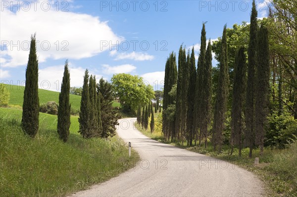 Unpaved country road