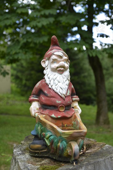 Garden gnome