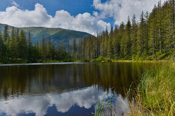 Mountain Lake Smreczynski Staw