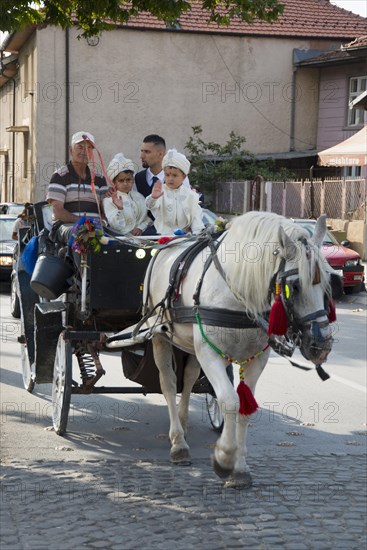 Horse-drawn carriage