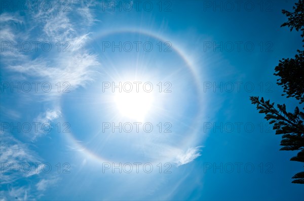 Sun halo