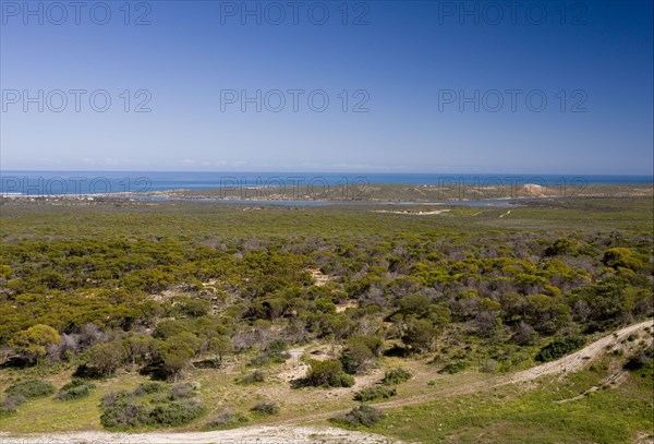 View of coastal semi-desert habitat and sea